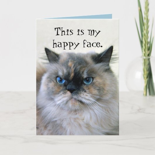 Happy Birthday Humor Himalayan Persian Cat Kaart (Voorkant)