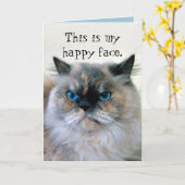Happy Birthday Humor Himalayan Persian Cat Kaart (Gele Bloem)