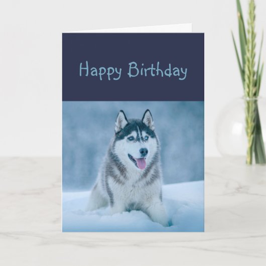 Happy Birthday Husky Dog Humor Kaart (Voorkant)