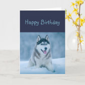 Happy Birthday Husky Dog Humor Kaart (Gele Bloem)