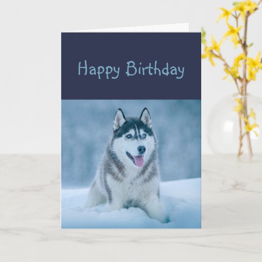 Happy Birthday Husky Dog Humor Kaart (Gele Bloem)