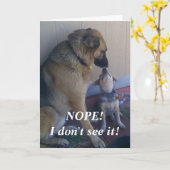 Happy Birthday ID Joke Kaart (Gele Bloem)