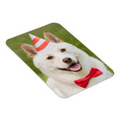 Happy Birthday Iedereen die een hond uit de partij Magneet (Rechterzijde)