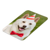 Happy Birthday Iedereen die een hond uit de partij Magneet (Linkerzijde)