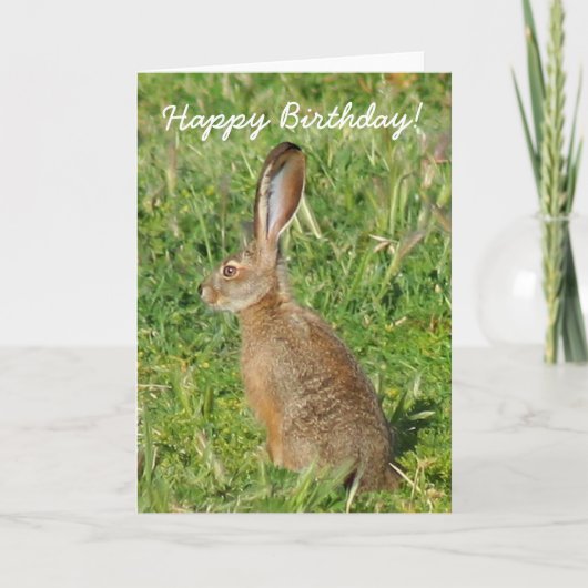 Happy Birthday Jack Rabbit Wenskaart Kaart (Voorkant)