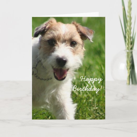 Happy Birthday Jack Russell Terrier wenskaart Kaart (Voorkant)