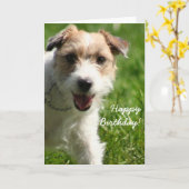 Happy Birthday Jack Russell Terrier wenskaart Kaart (Gele Bloem)