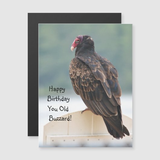 Happy Birthday je oude buzzard Magnetische Uitnodiging (Voorkant / Achterkant)