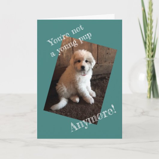 Happy Birthday Kaart (Voorkant)