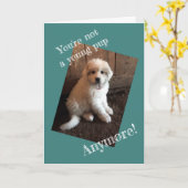 Happy Birthday Kaart (Gele Bloem)