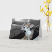 HAPPY BIRTHDAY KAART (Gele Bloem)