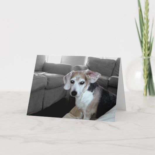 HAPPY BIRTHDAY KAART (Voorkant)