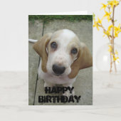 Happy Birthday Kaart (Gele Bloem)
