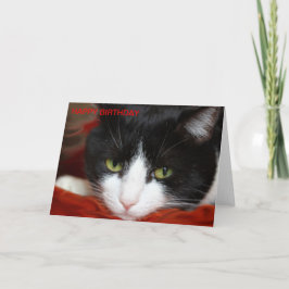 HAPPY BIRTHDAY KAART