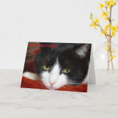 HAPPY BIRTHDAY KAART (Gele Bloem)