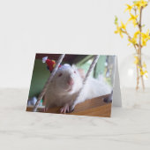 Happy Birthday Kaart (Gele Bloem)