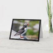 Happy Birthday Kaart Atlantic Puffin (Voorkant)