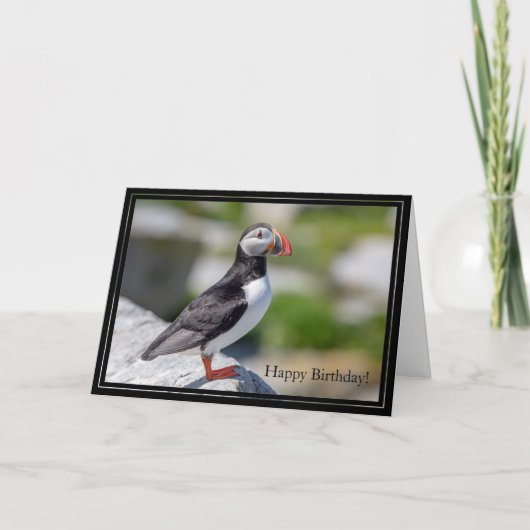 Happy Birthday Kaart Atlantic Puffin (Voorkant)
