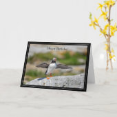 Happy Birthday Kaart Atlantic Puffin (Gele Bloem)