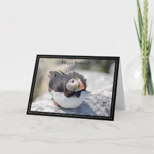 Happy Birthday Kaart Atlantic Puffin