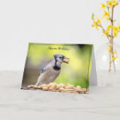 Happy Birthday Kaart Blue Jay (Gele Bloem)