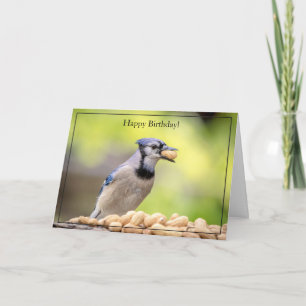 Happy Birthday Kaart Blue Jay