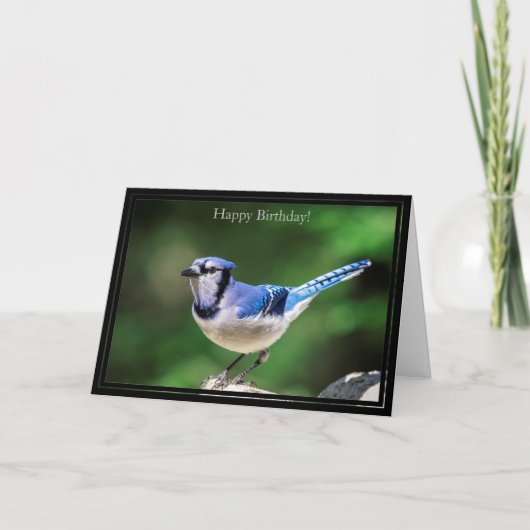 Happy Birthday Kaart Blue Jay (Voorkant)