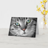 Happy Birthday Kaart: Cat zegt "Oh!" Kaart (Gele Bloem)