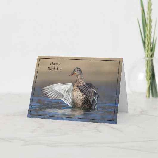 Happy Birthday Kaart Mallard Duck (Voorkant)