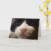 Happy Birthday (Kaart met kat) Kaart (Gele Bloem)