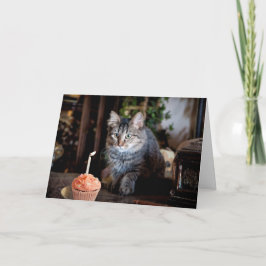 Happy Birthday-kaart met kat Kaart