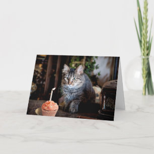 Happy Birthday-kaart met kat Kaart