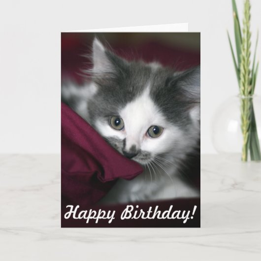 Happy Birthday Kaart met leuke kleine Kitten! (Voorkant)