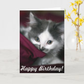 Happy Birthday Kaart met leuke kleine Kitten! (Gele Bloem)