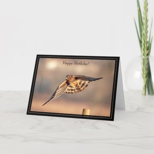 Happy Birthday Kaart Northern Harrier Hawk (Voorkant)