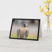 Happy Birthday Kaart Peregrine Falcon (Gele Bloem)