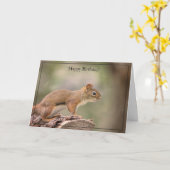 Happy Birthday Kaart Red Squirrel (Gele Bloem)