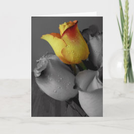 Happy Birthday Kaart-Roos Kaart