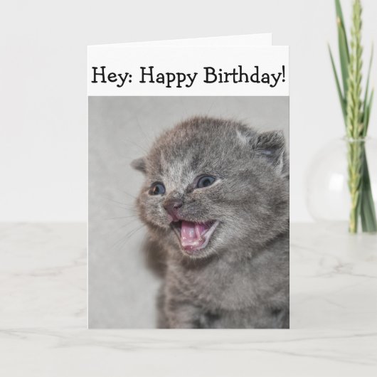 Happy Birthday Kaart: Verrast grijs Kitten Kaart (Voorkant)