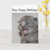 Happy Birthday Kaart: Verrast grijs Kitten Kaart (Gele Bloem)