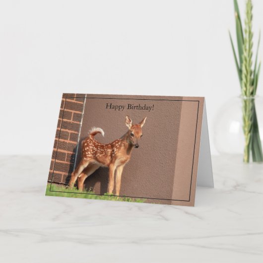Happy Birthday Kaart White-Tailed Deer Fawn (Voorkant)