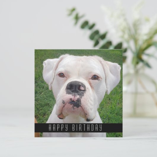 Happy Birthday-kaarten met honden Aankondiging (Staand voorkant)