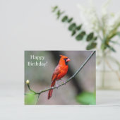 Happy Birthday Kardinaal Briefkaart (Staand voorkant)