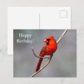 Happy Birthday Kardinaal Briefkaart (Voorkant / Achterkant)