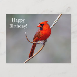 Happy Birthday Kardinaal Briefkaart