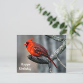 Happy Birthday Kardinaal Briefkaart (Staand voorkant)