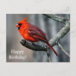Happy Birthday Kardinaal Briefkaart