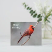 Happy Birthday Kardinaal Briefkaart (Staand voorkant)