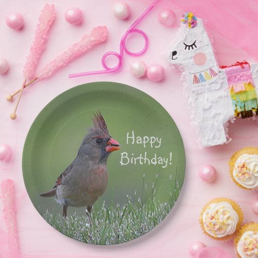 Happy Birthday Kardinaal Papieren Bordje (Feest)