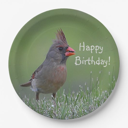 Happy Birthday Kardinaal Papieren Bordje (Voorkant)